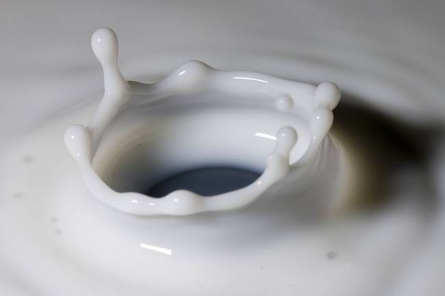 La leche es uno de los alimentos más ricos en vitamina D. Imagen: Robbie's Photo Art 