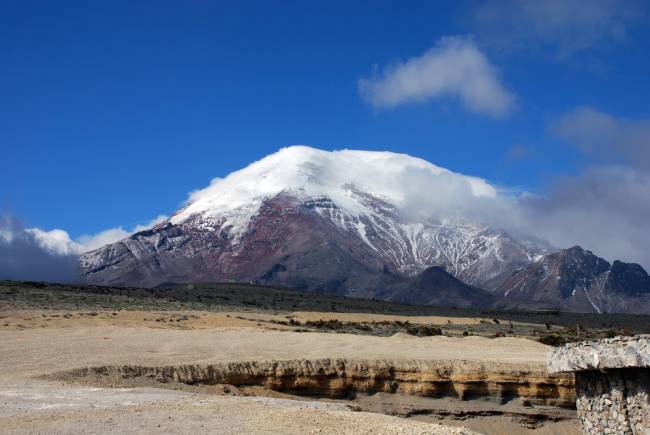El cambio climático empuja las plantas tropicales hacia las cumbres 