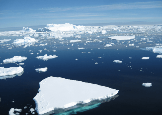 Icebergs flotan en el océano Antártico. / Science