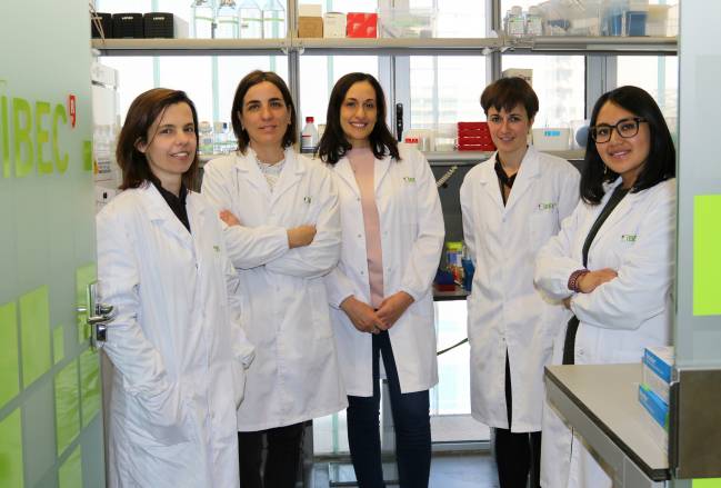grupo de investigadoras liderado por Núria Montserrat