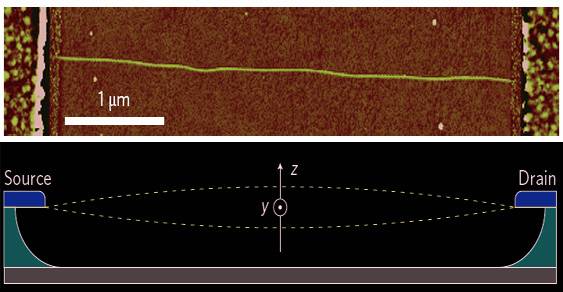 Los nanotubos de carbono podrían hacer resonancias magnéticas a moléculas