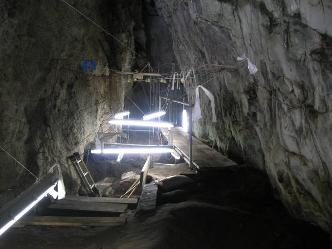 Los neandertales también cazaban mamíferos marinos