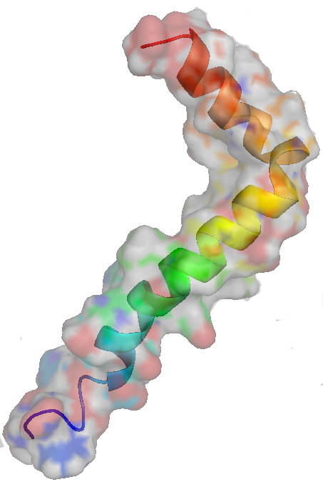 Una proteína asociada al alzhéimer podría formar parte del sistema inmunitario innato