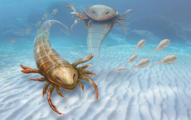 Descubren un ‘escorpión marino’ gigante