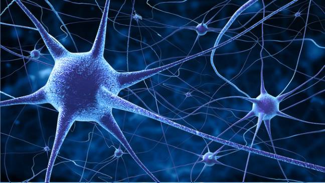 El grupo de neuronas que detecta la ‘música’ de las palabras