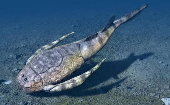 Los primeros peces se originaron en aguas marinas cerca de la costa