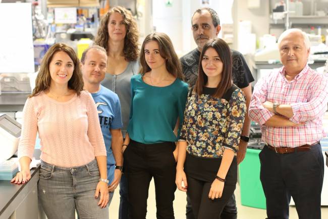 Nuevo mecanismo para evitar errores en la transferencia de material genético materno