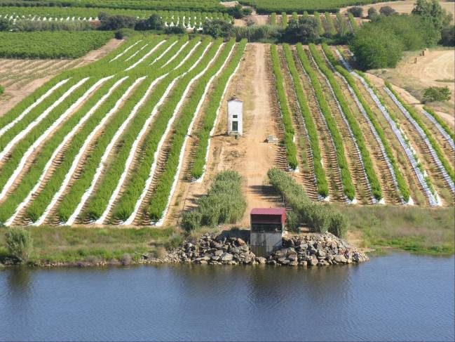 Adaptación de las cuencas fluviales al cambio climático