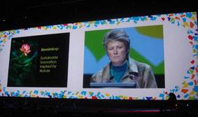 Aprueban una nueva resolución internacional para luchar contra el cambio climático
