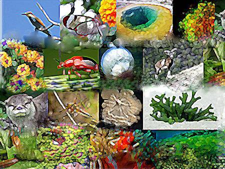 Arranca en Granada el Congreso Nacional de Biodiversidad