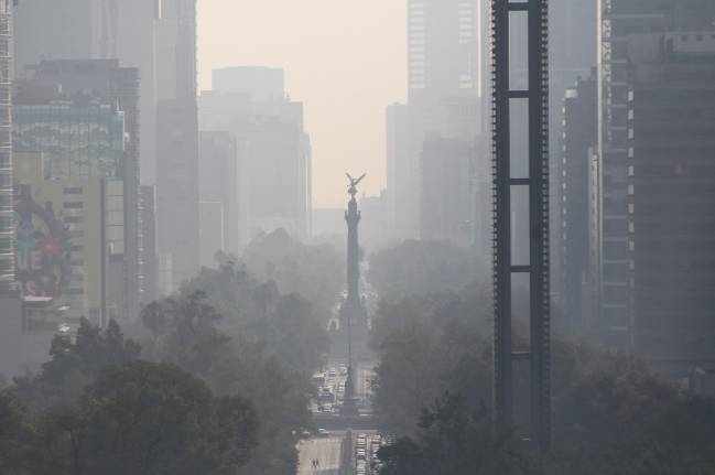 Así afecta la contaminación a la formación de los órganos en el útero
