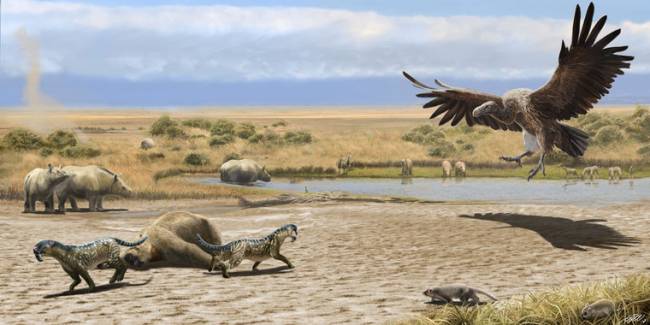 Así interactuaron las especies americanas hace tres millones de años