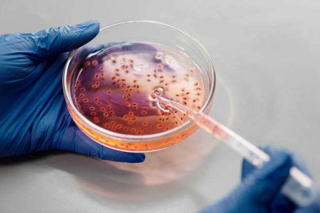 Así logra ocultarse el cáncer de piel y resistir a la inmunoterapia 