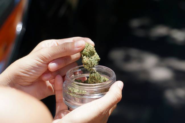 Asocian el consumo frecuente de cannabis con el empeoramiento de la epilepsia