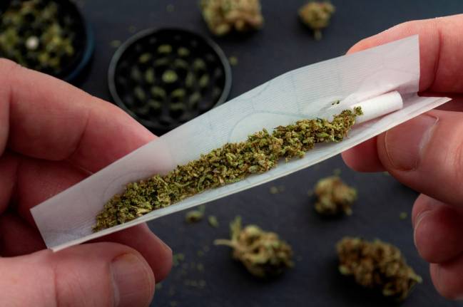 persona haciendo un cigarro de marihuana