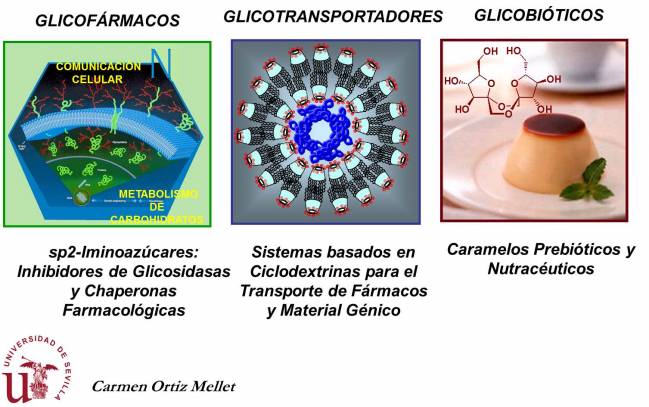 Carbohidratos para prevenir y curar enfermedades
