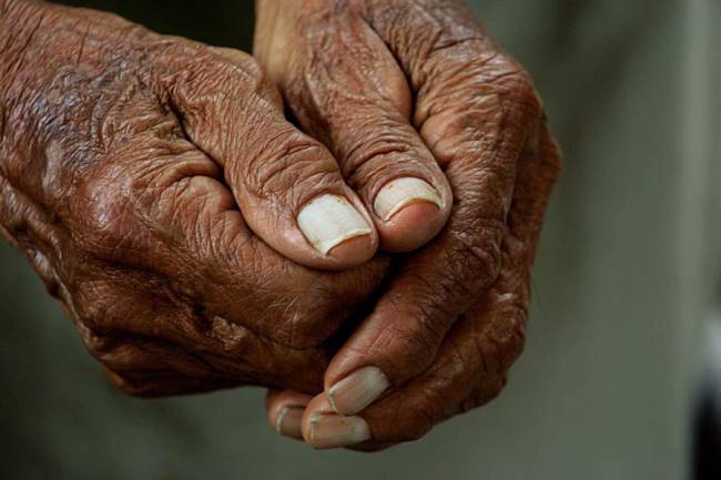 Centenarios españoles y japoneses revelan una clave genética de la longevidad