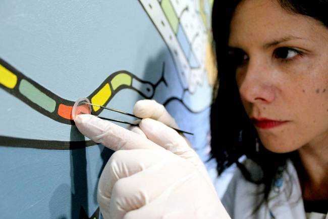 Ciencia para sanar el arte sin dañarlo