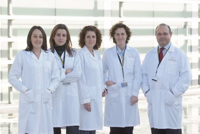 Científicos valencianos avanzan en la diferenciación a cardiomiocitos de células madre adultas