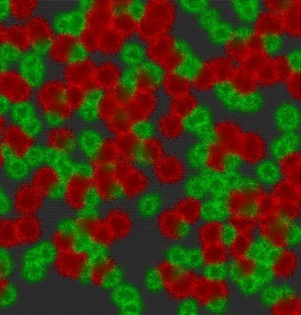 Colonización y competición, dos estrategias básicas que usan los virus durante una infección