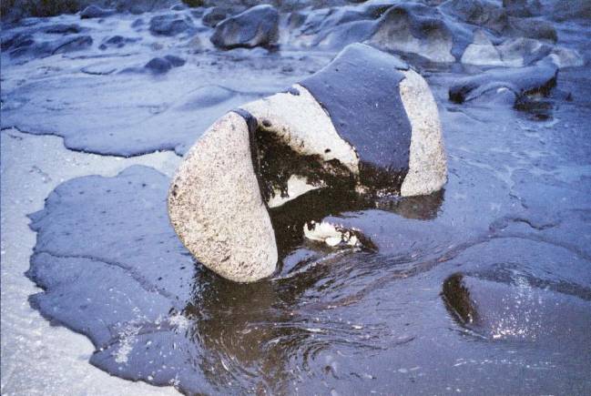 Cómo degrada una bacteria petróleo a baja temperatura