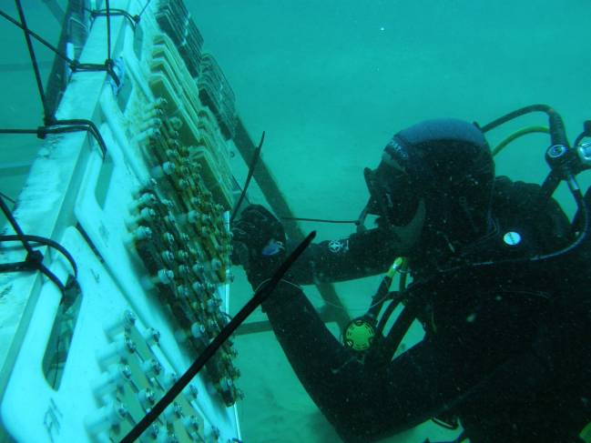 Como recopilar información de restos arqueológicos subacuáticos ‘in situ’