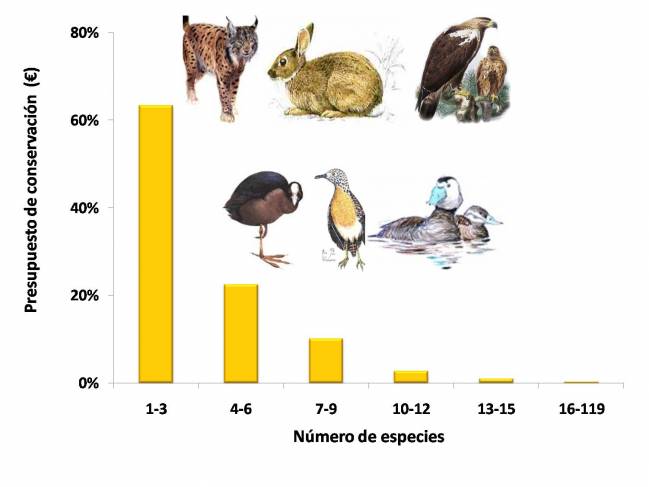¿Cómo se decide la distribución de los fondos de conservación?