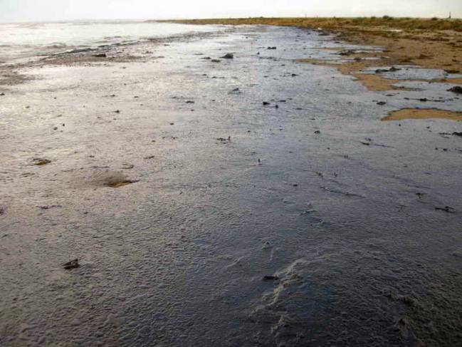 ¿Cómo se regenera de forma natural la costa tras un vertido?