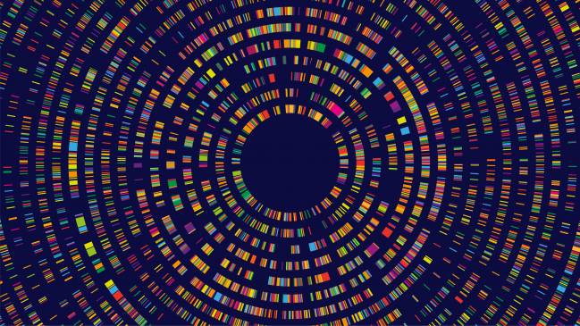 Crean la primera IA capaz de diagnosticar enfermedades ultra raras sin datos familiares