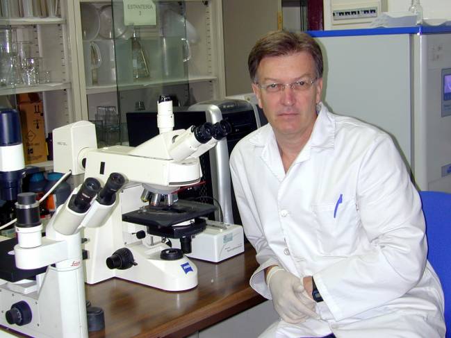 Demuestran el papel de una enzima para frenar el proceso de inflamación cerebral