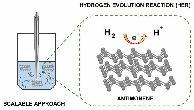 Desarrollado un método para la producción industrial de antimoneno