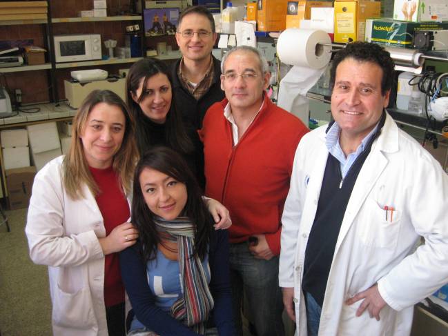 Desarrollan un modelo animal transgénico válido para el estudio de enfermedades neurodegenerativas