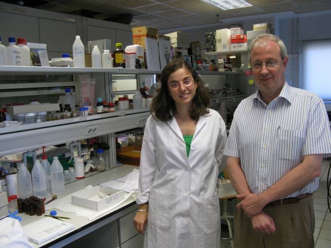 Desarrollan un nuevo sensor que detecta rápidamente y de forma sencilla monóxido de carbono