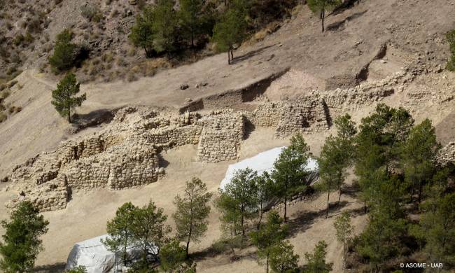 Vista frontal de la fortificación, con varios lienzos de muralla y cinco de las torres macizas descubiertas.