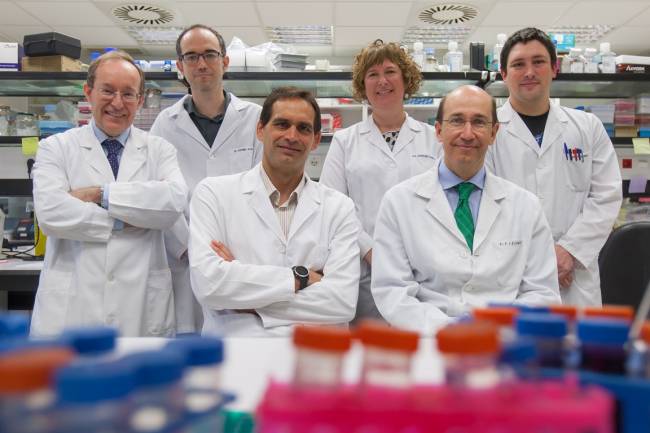 investigadores del Programa de Tumores Sólidos del CIMA