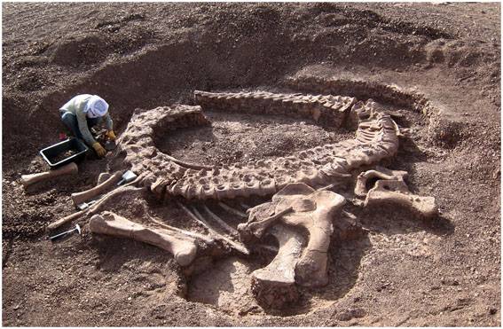 Descubren un nuevo dinosaurio en Níger 