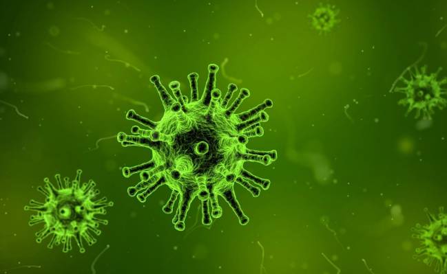 Descubren un polímero natural muy eficaz ‘in vitro’ frente a cinco virus diferentes