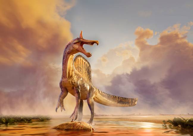 Representación paleoartística del Spinosaurus mirabilis.