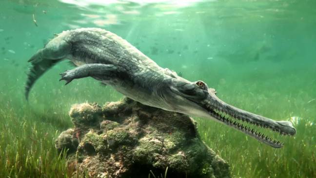 Visión artística de la nueva especie