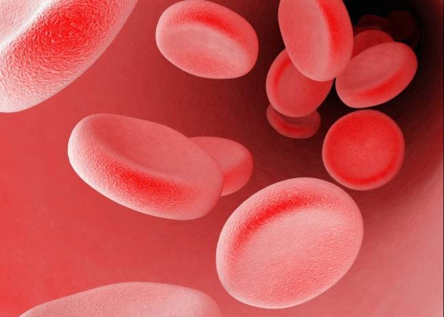 Descubren una proteína que puede regular la presión arterial 