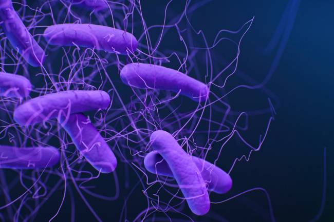 Desvelan el mecanismo que permite a una de las bacterias hospitalarias más peligrosas causar infecciones