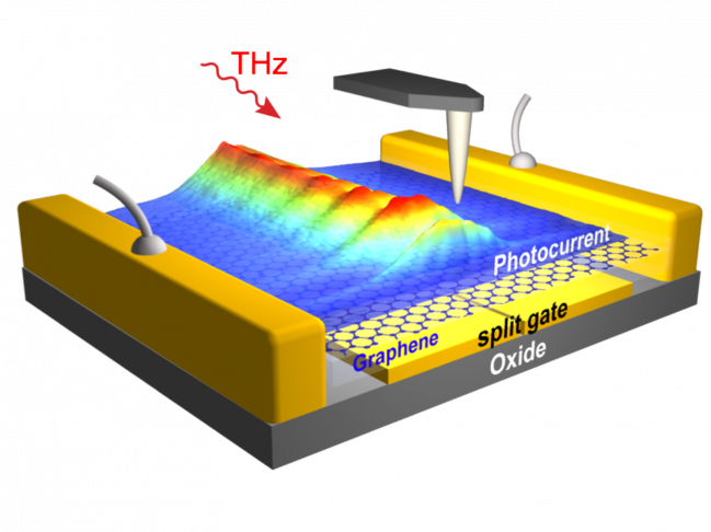 Detección eléctrica de plasmones de grafeno a frecuencias de terahercios
