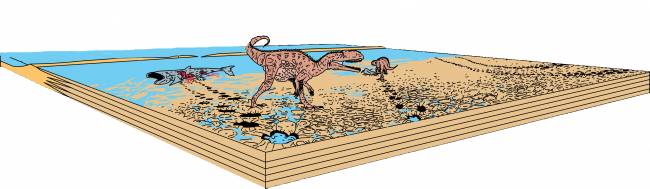 Dinosaurios carnívoros esperaban la marea baja para ir a pescar