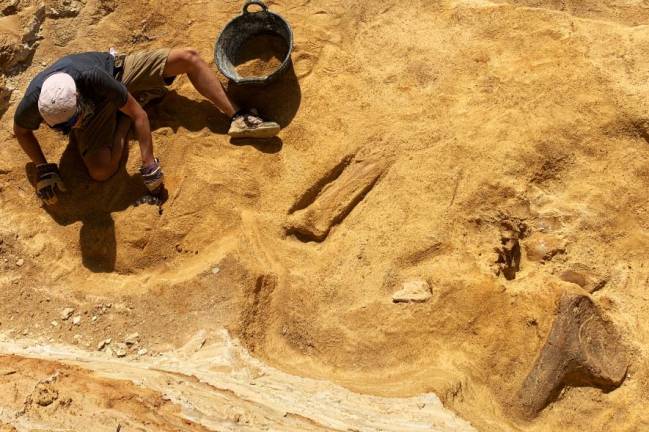 Dinosaurios y cocodrilos vivieron en Guadalajara hace millones de años 