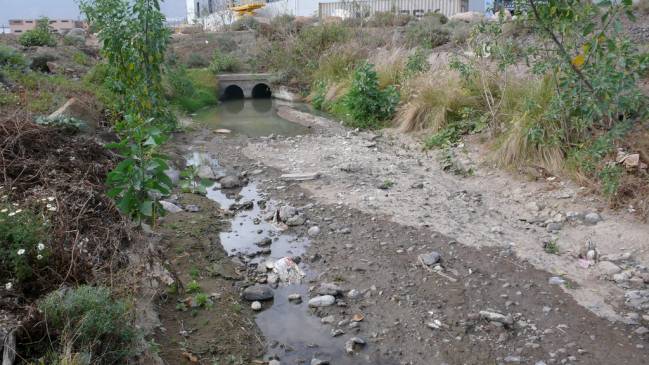 Diseñan estrategias para reutilizar las aguas residuales de municipios pequeños
