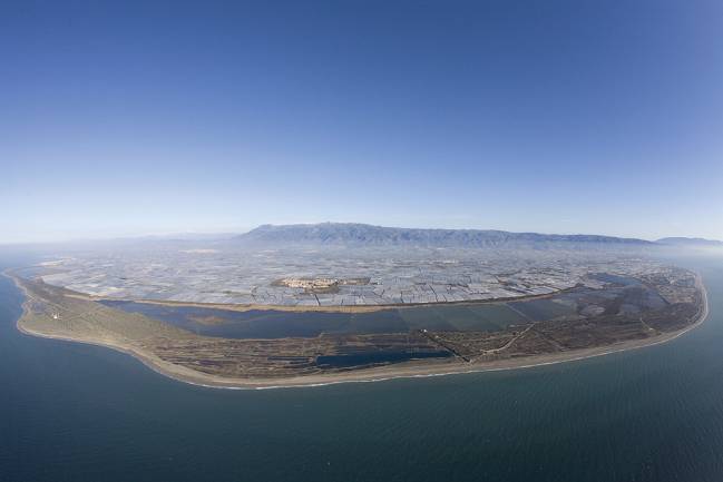 Campos de invernadero de Dalias, en Almería 