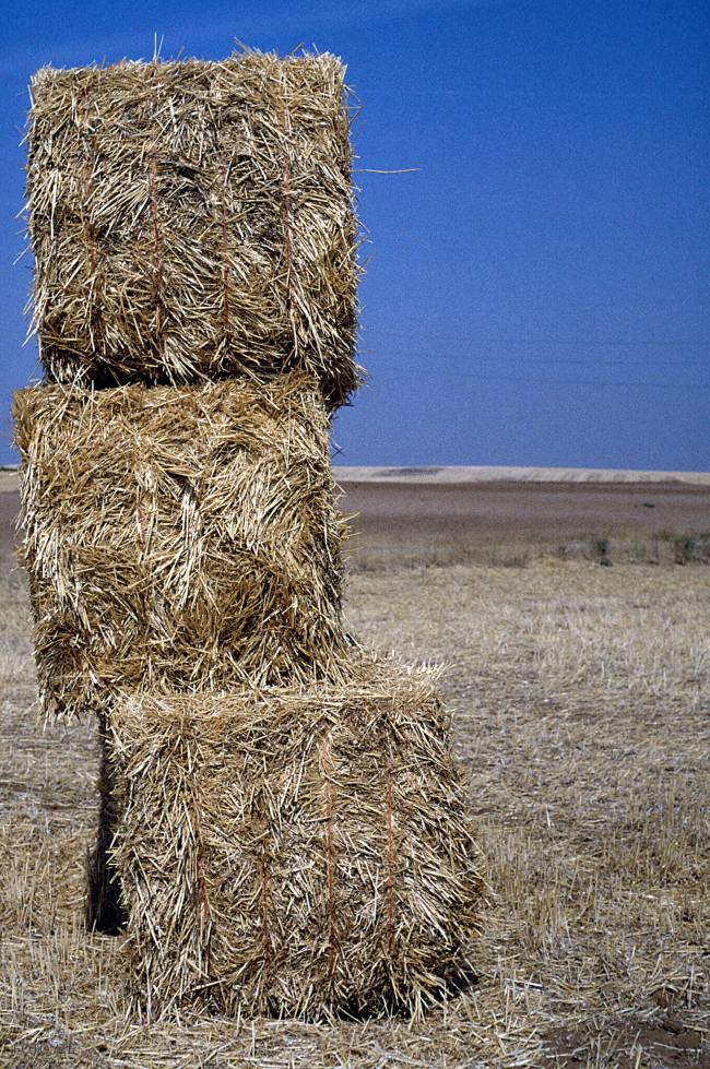 Diseñan una planta de biogás a partir de paja de cereal
