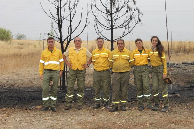 Dos especies ayudan a reducir la virulencia de los incendios forestales