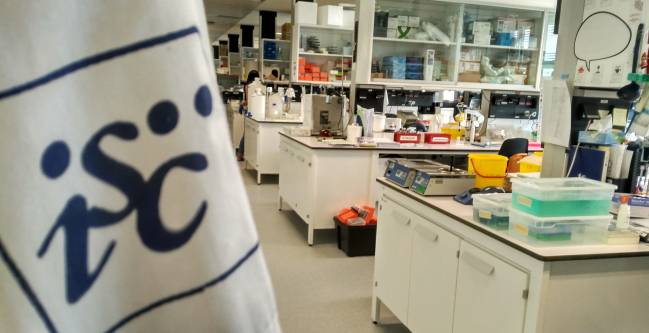 Dos nuevos ensayos sobre COVID-19 en España: terapia precoz en combinación y plasma de pacientes recuperados