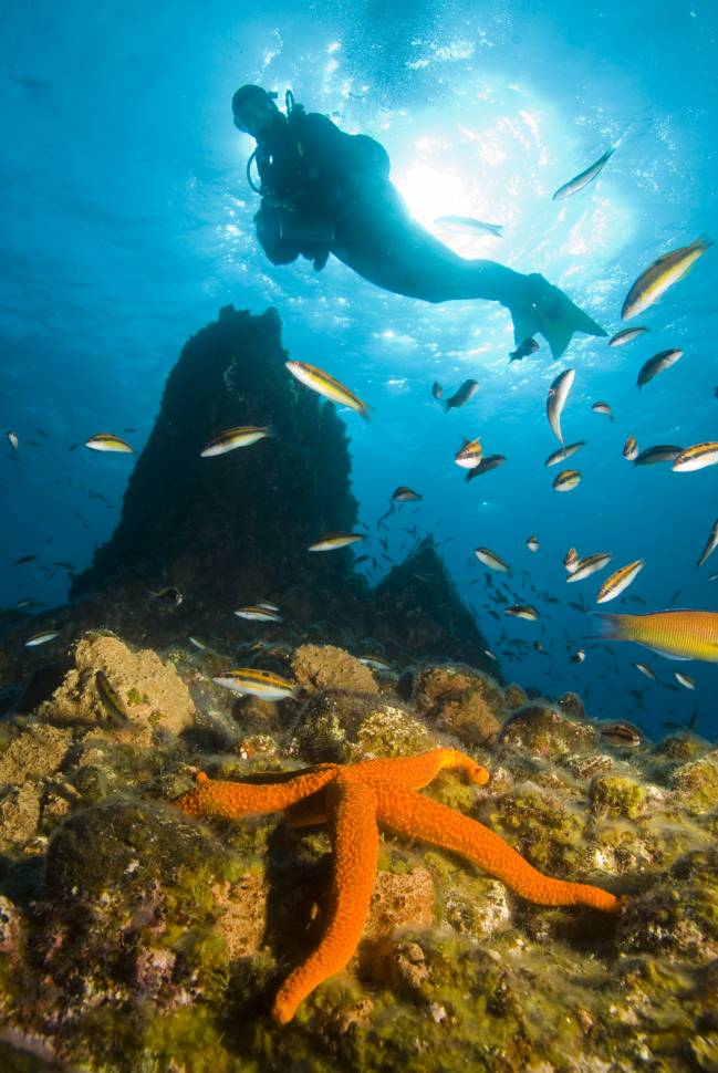 El 80% de las Áreas Marinas Protegidas del mundo están mal gestionadas